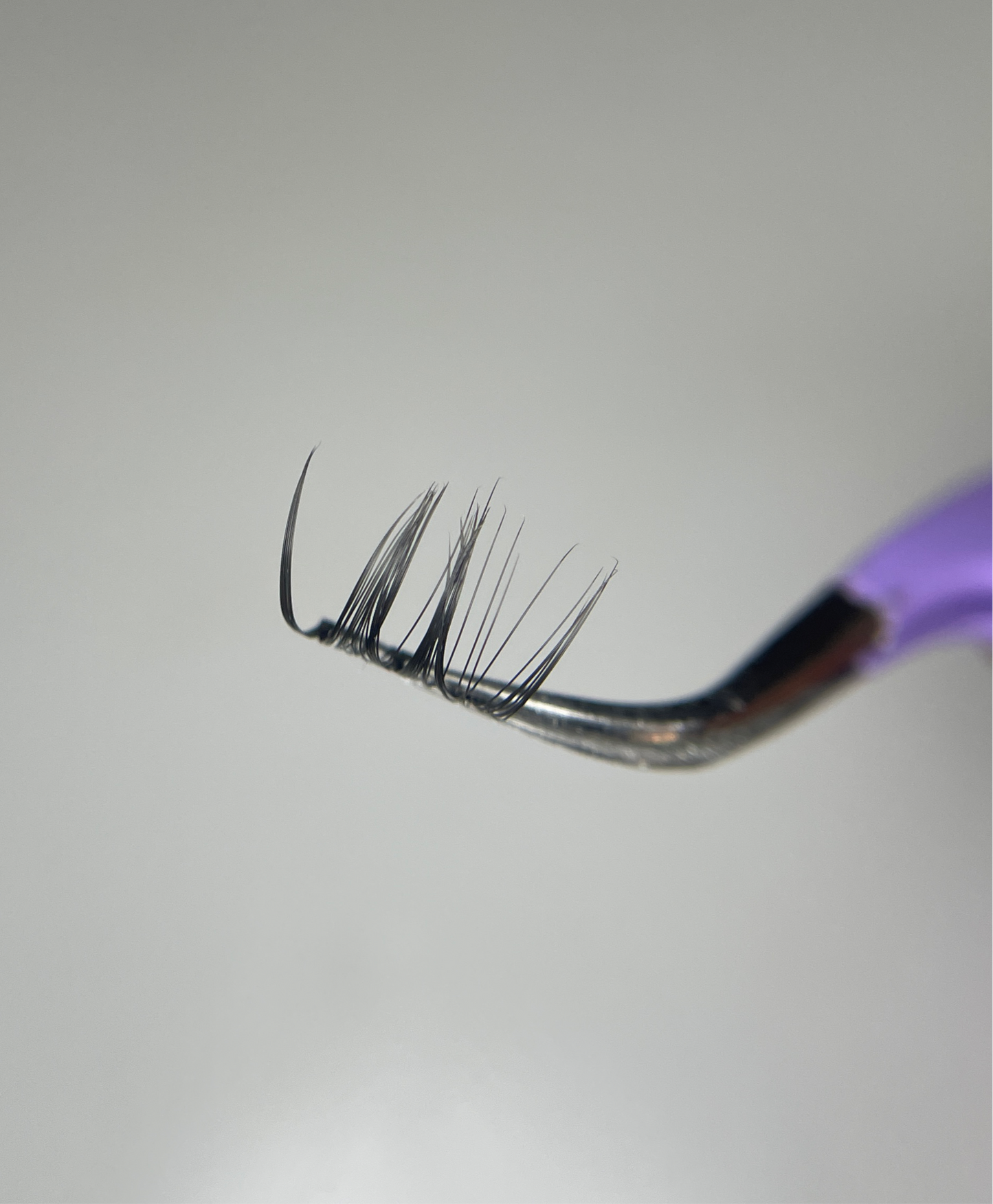 Diy Lashes Schweiz