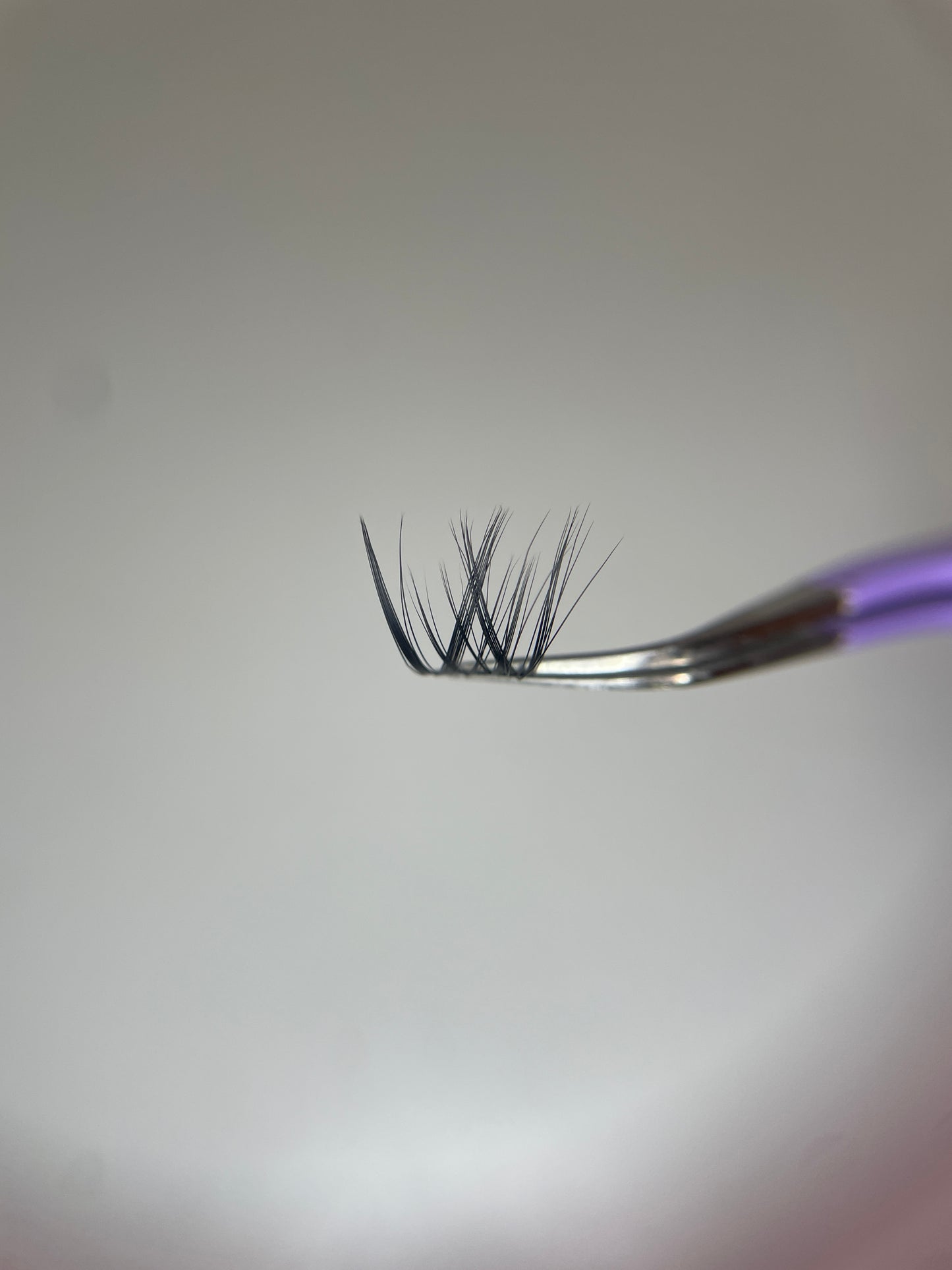 Diy Lashes Schweiz Wispy