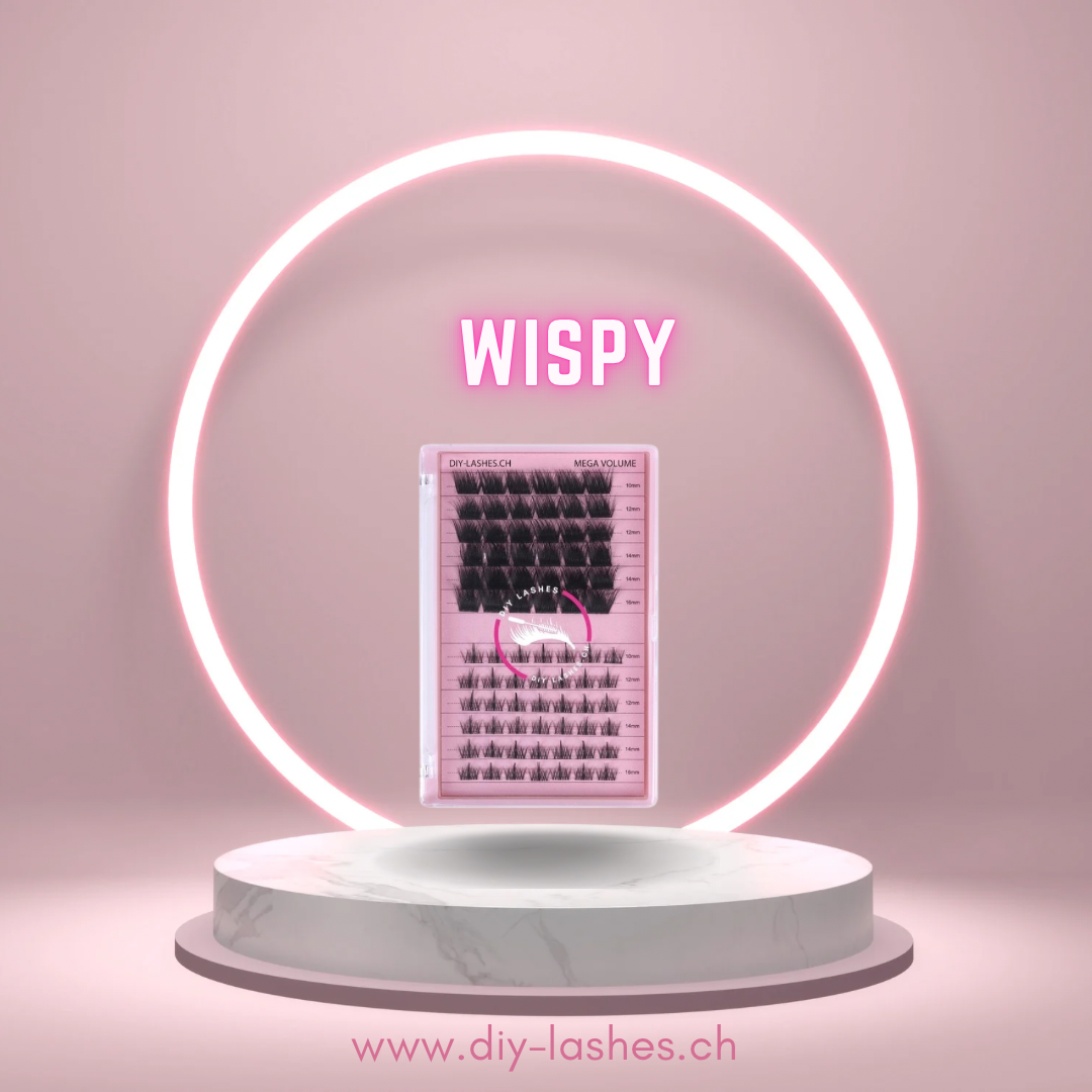 Diy Wimpern Small Box Wispy